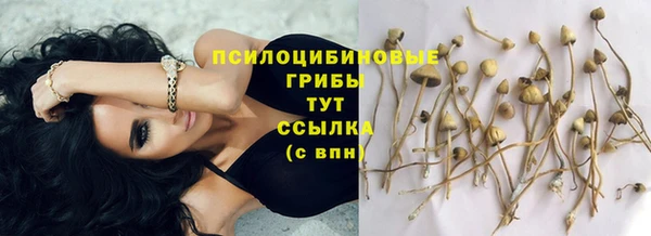 винт Алзамай