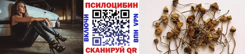 Псилоцибиновые грибы ЛСД  Ейск 
